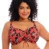 Swim Forever Yours Lingerie | Elomi Kotiya Bikini Top