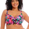 Swim Forever Yours Lingerie | Elomi Savaneta Bikini Top