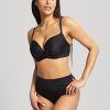 Swim Forever Yours Lingerie Underwire | Panache Serenity Plunge Bikini Top