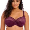 Bras Forever Yours Lingerie Plus Size | Elomi Morgan Bra