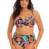 Swim Forever Yours Lingerie | Elomi Tropical Falls Plunge Bikini Top