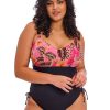 Swim Forever Yours Lingerie | Elomi Cabana Nights Non Wire One Piece Swimsuit