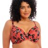 Swim Forever Yours Lingerie Underwire | Elomi Kotiya Plunge Bikini Top